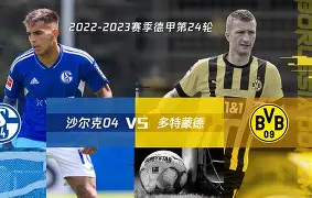 沙尔克球员赛季成绩亮眼,备战意志坚定的简单介绍 沙尔克球员赛季成绩亮眼,备战意志坚定的简单介绍